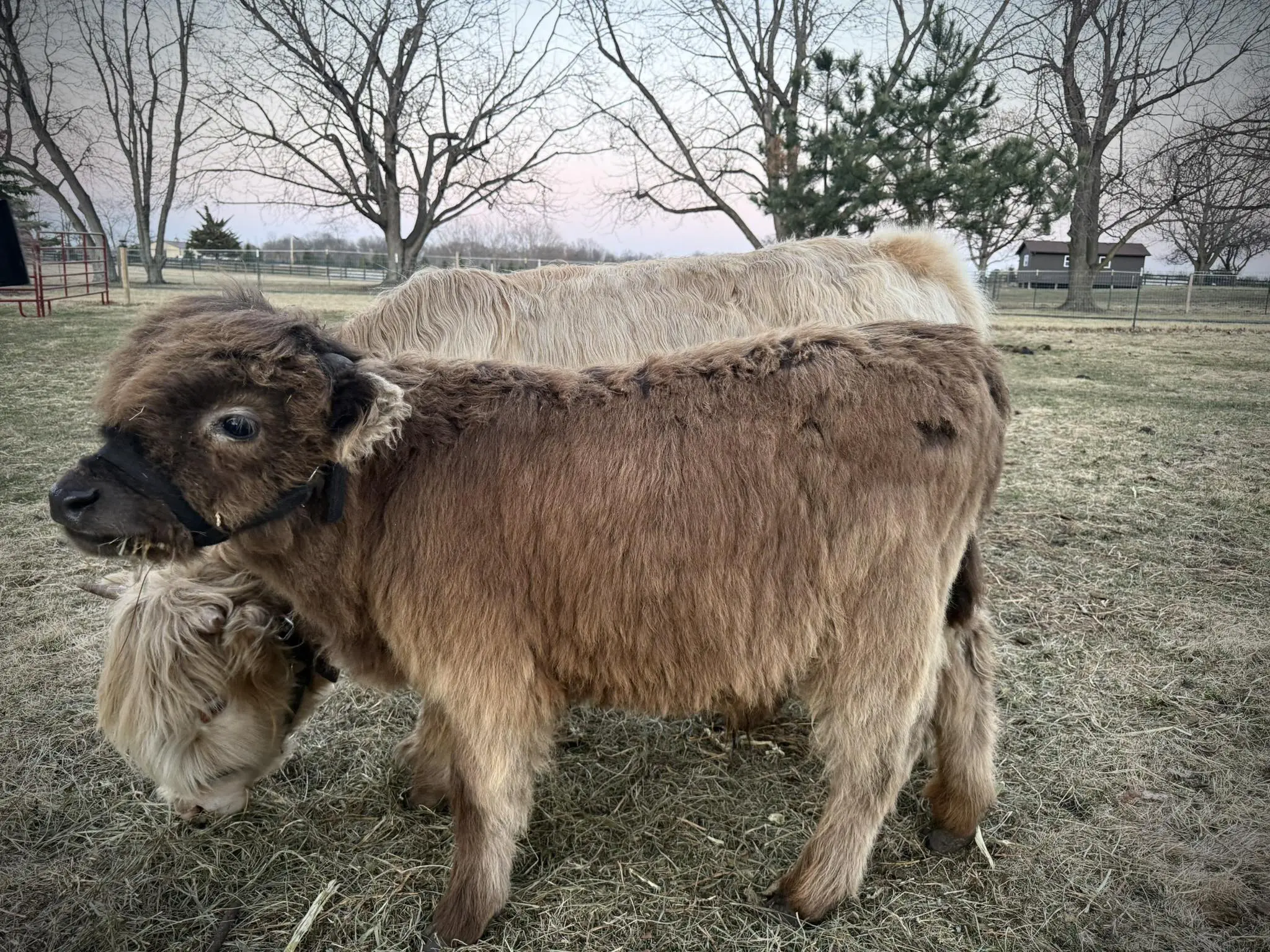 649697988_122179633436791169_7134133358817595424_n