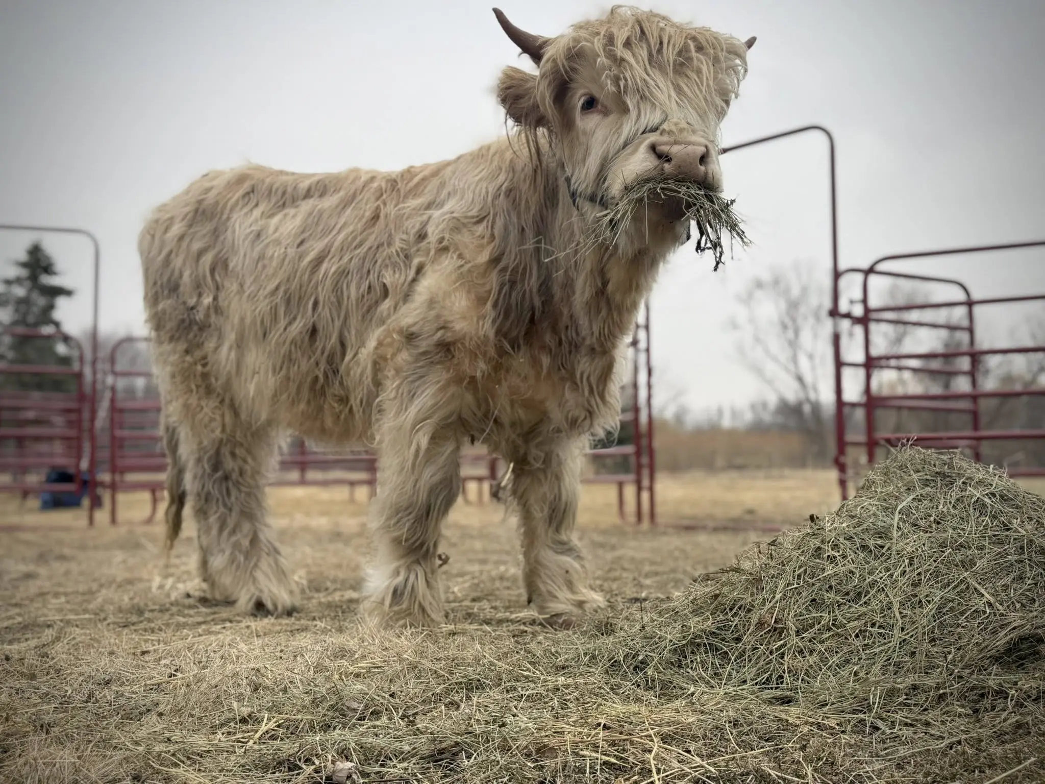 649884469_122179634798791169_6828069904152407205_n