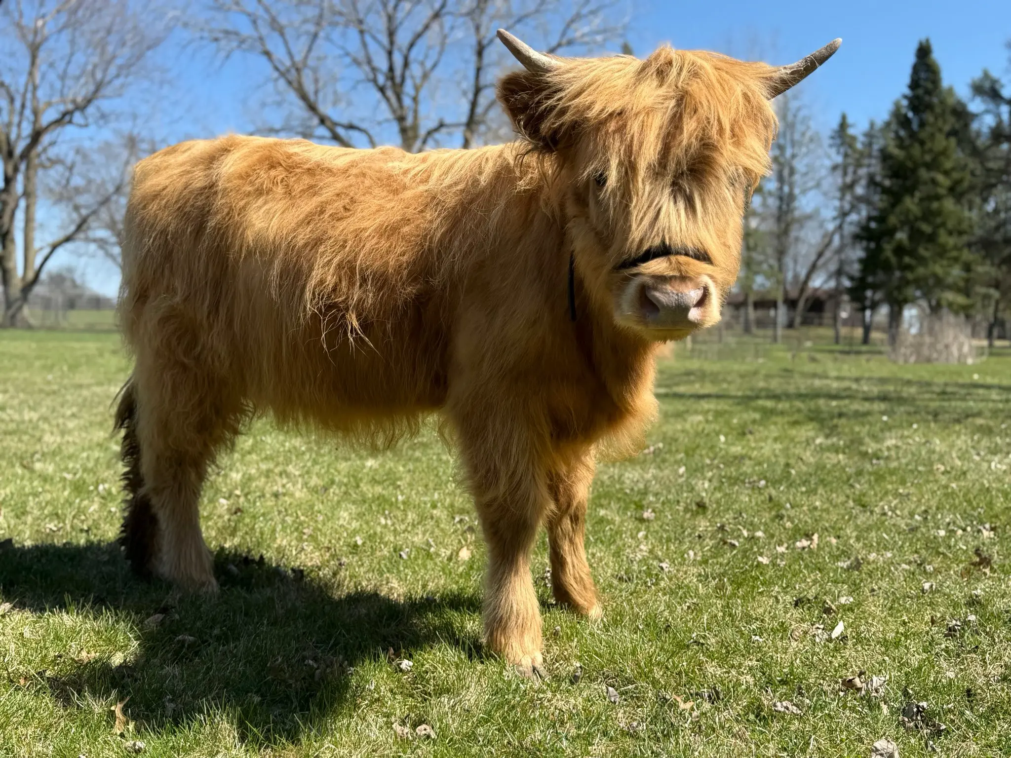 651168142_122179964054791169_1539513972095115826_n